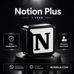 Notion Plus 1 Year Private Account